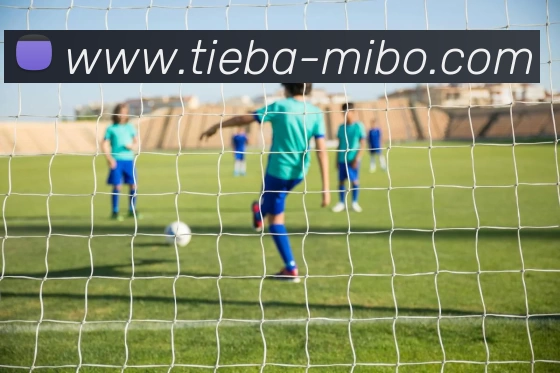 米博体育APP 封面图